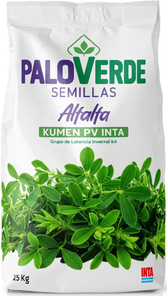 Kumen PV Inta